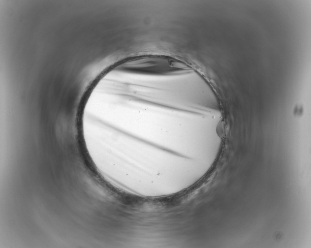 X0000093120248200710241308