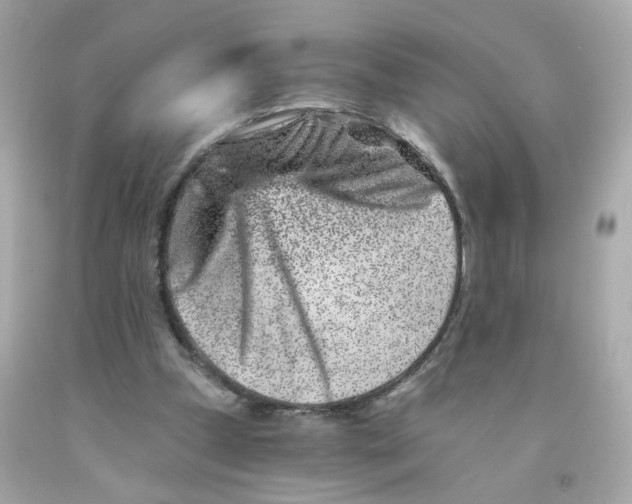 X0000093120249200710241308
