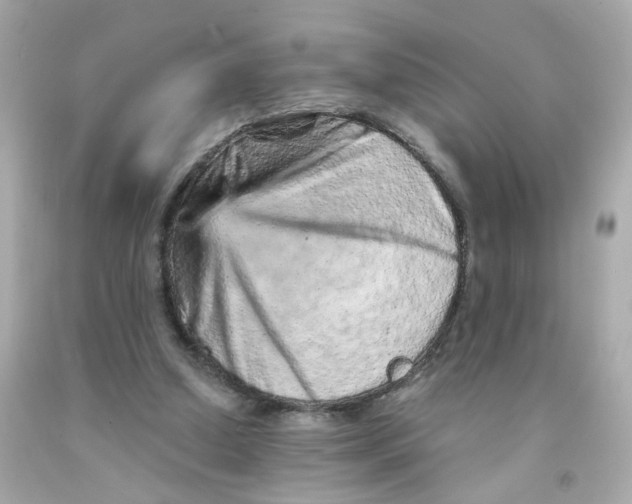 X0000093120250200710241308
