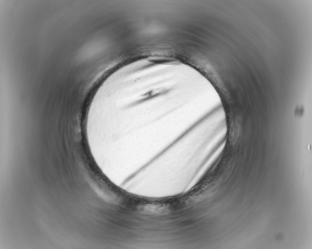 X0000093120251200710241308