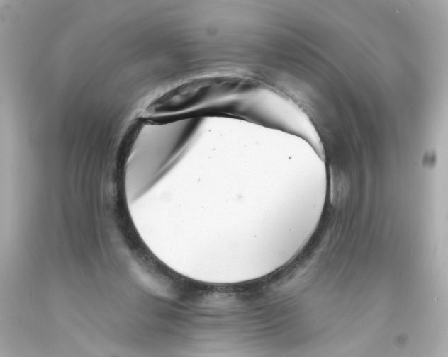 X0000093120252200710241308