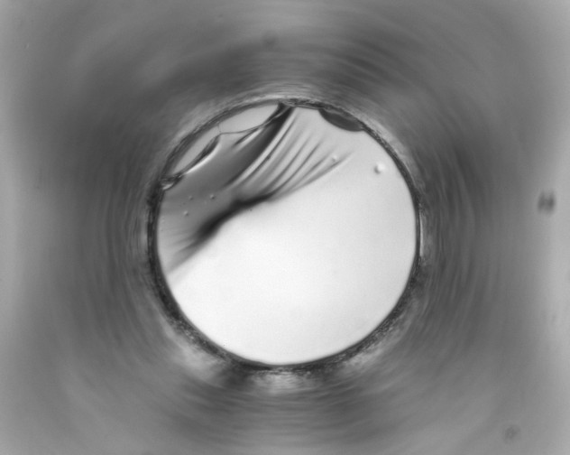 X0000093120253200710241308