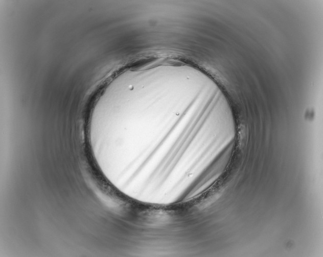 X0000093120254200710241309