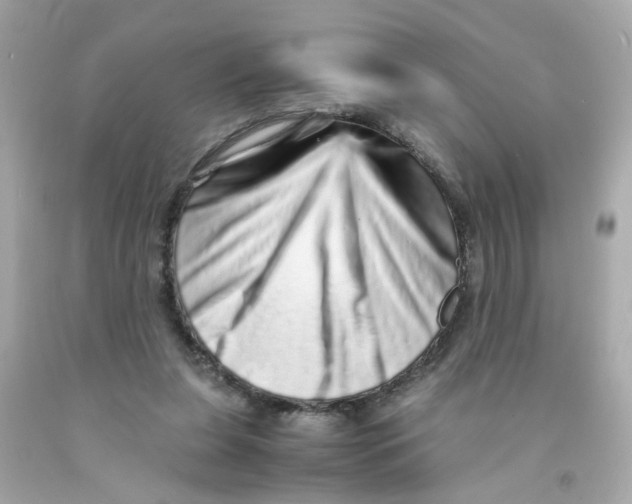 X0000093120255200710241309