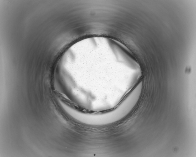 X0000093120256200710241309