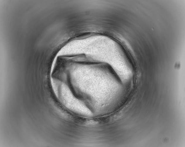 X0000093120257200710241309