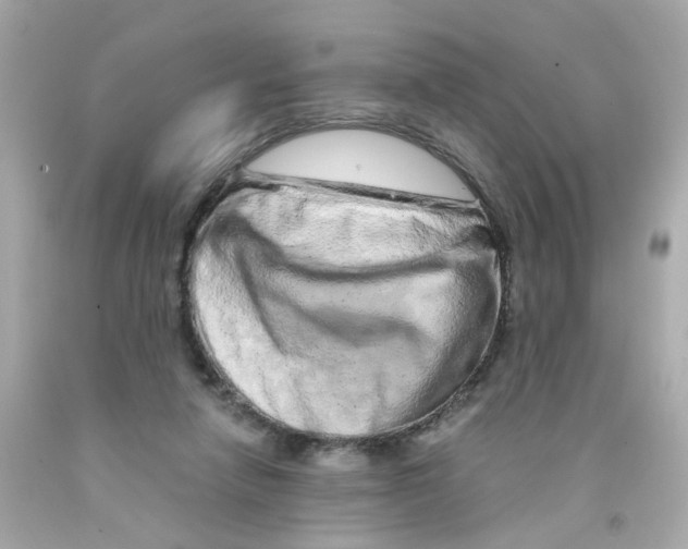 X0000093120258200710241309