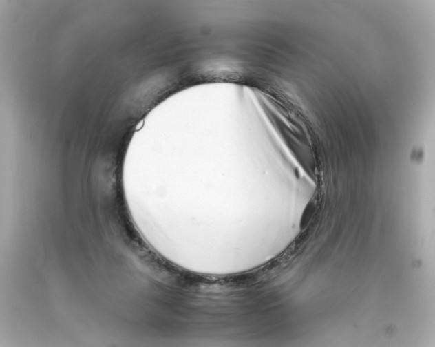 X0000093120259200710241309