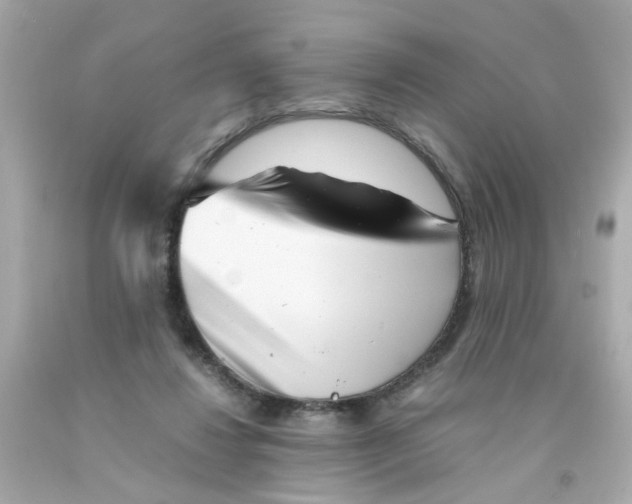 X0000093120260200710241309