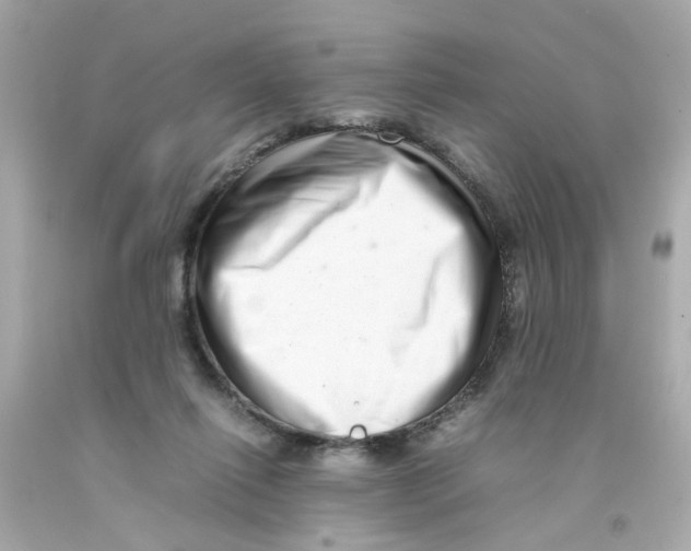 X0000093120262200710241309