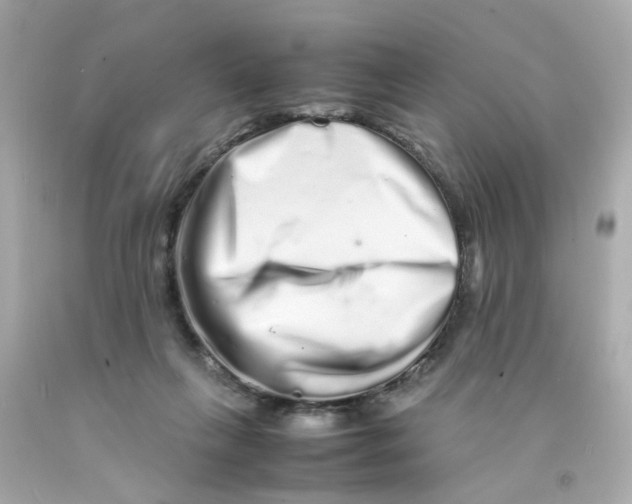 X0000093120263200710241309