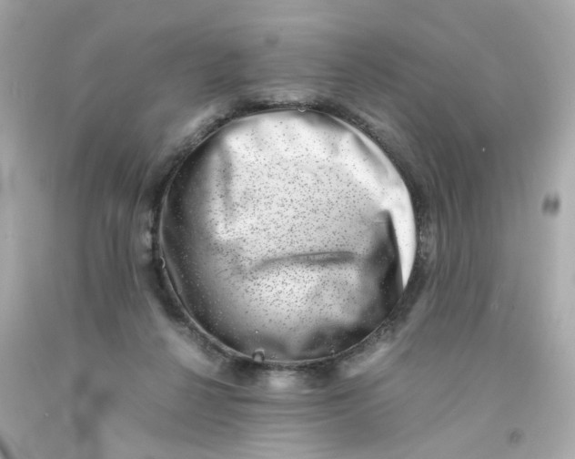 X0000093120264200710241309