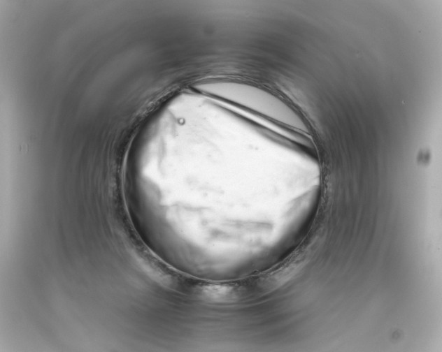 X0000093120265200710241309