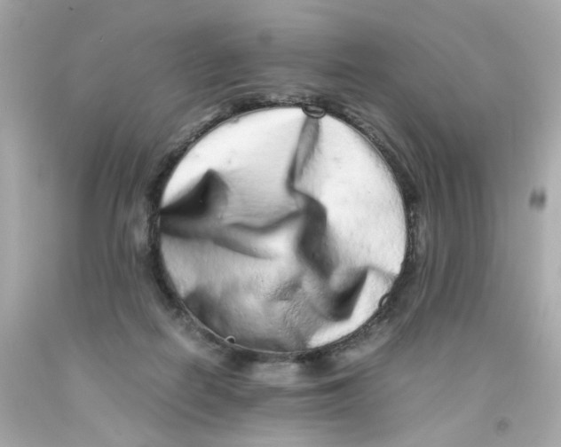X0000093120266200710241309