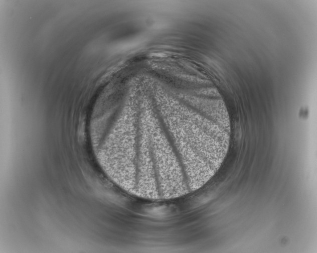 X0000093120267200710241309