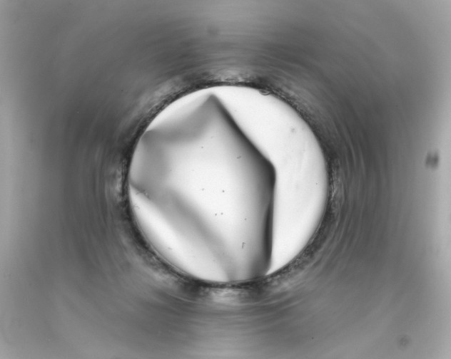 X0000093120268200710241309