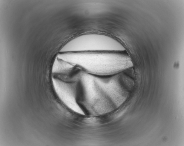 X0000093120269200710241309