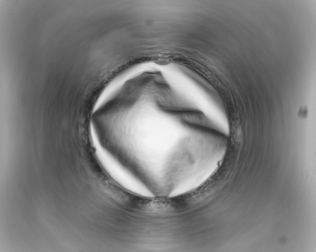 X0000093120270200710241309