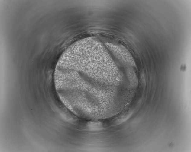 X0000093120271200710241309