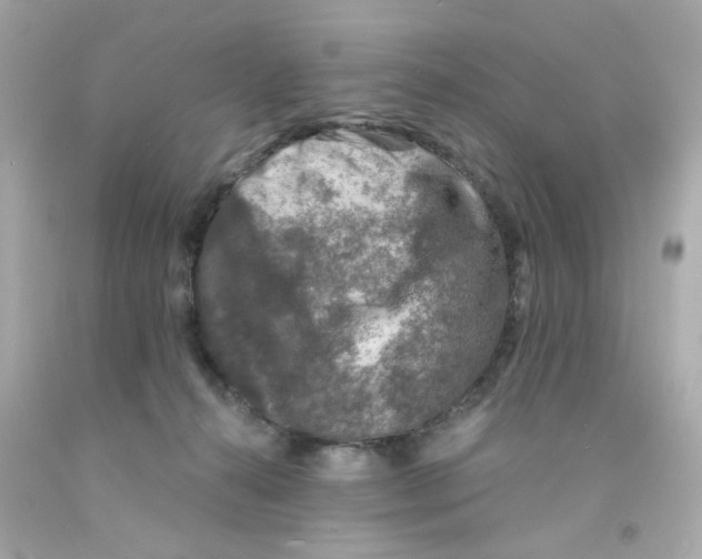X0000093120272200710241309