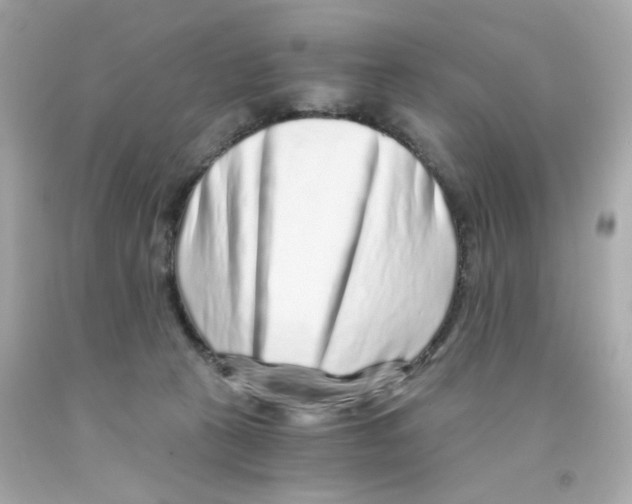 X0000093120273200710241309