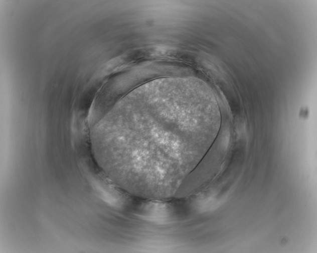 X0000093120276200710241309