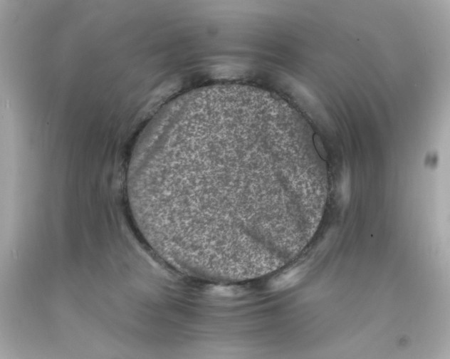 X0000093120277200710241309