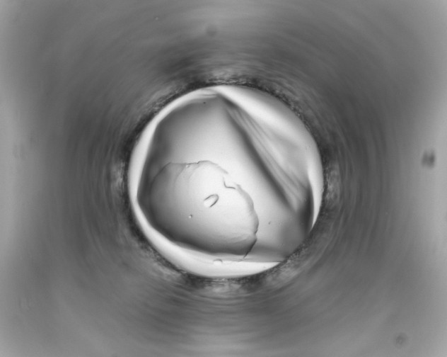 X0000093120278200710241309