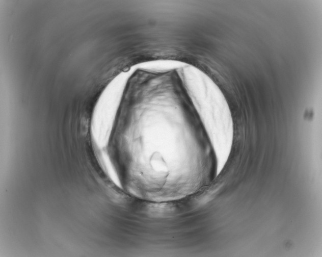 X0000093120281200710241309