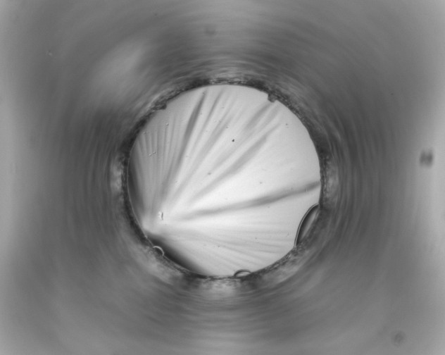 X0000093120282200710241309