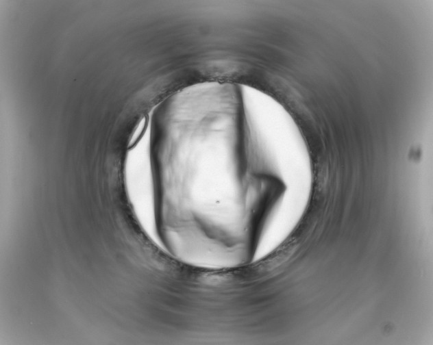 X0000093120283200710241309