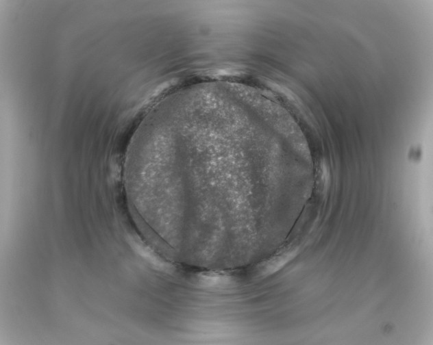X0000093120284200710241309