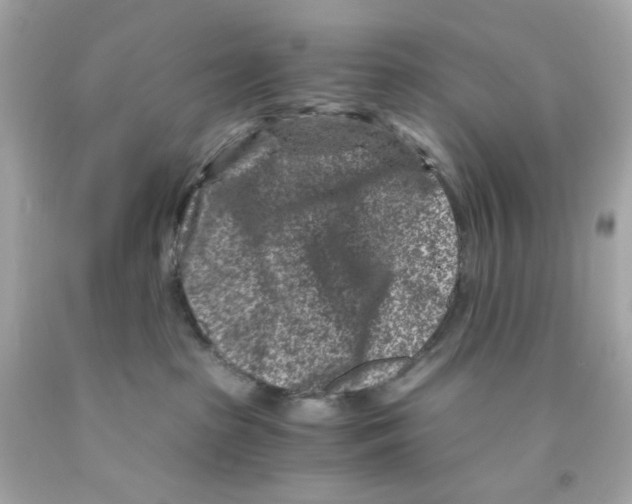 X0000093120285200710241309