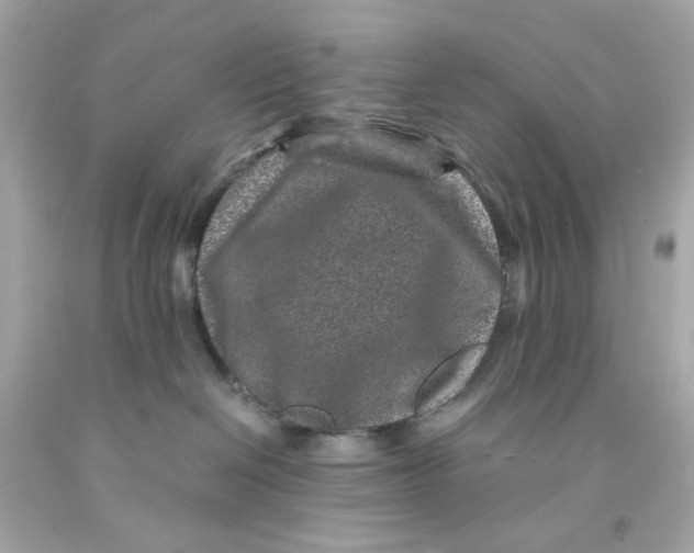 X0000093120286200710241309