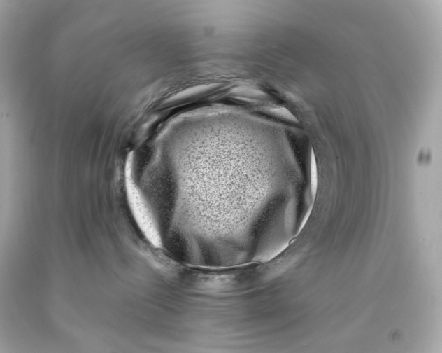 X0000093120288200710241309