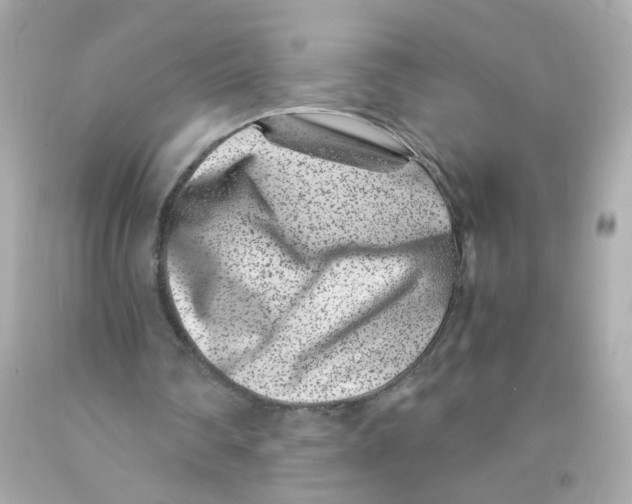 X0000093120290200710241308