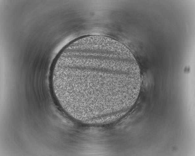 X0000093120292200710241308