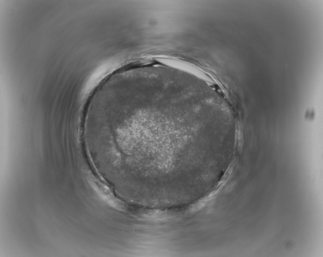 X0000093120293200710241308