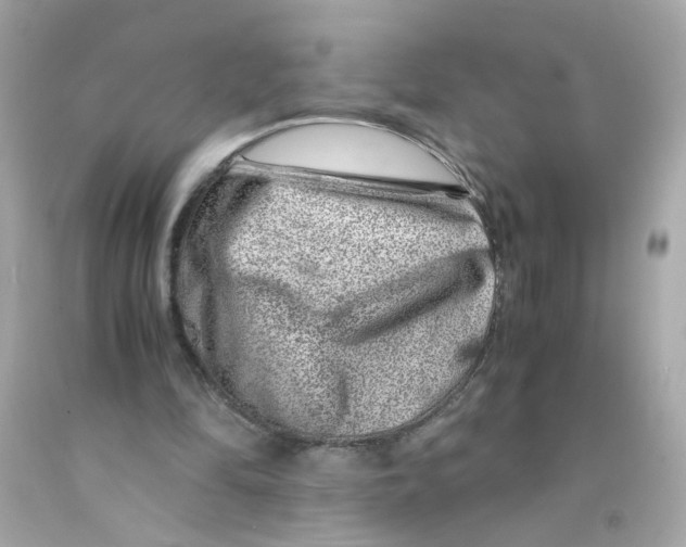 X0000093120294200710241308