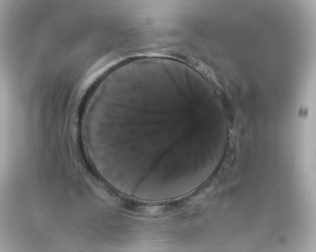 X0000093120295200710241308