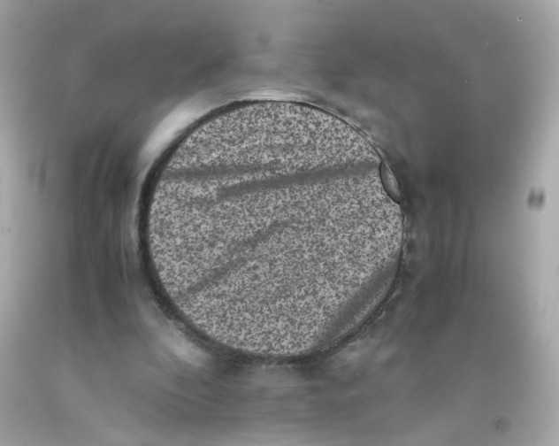 X0000093120296200710241308