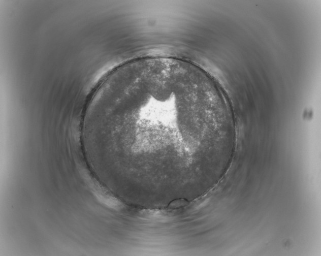 X0000093120297200710241308