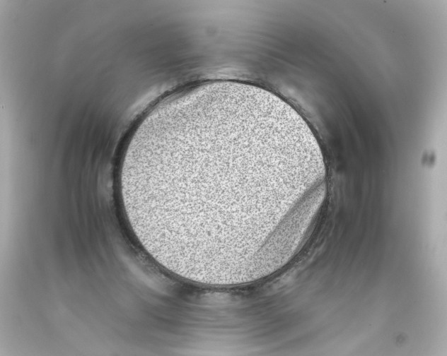 X0000093120298200710241308