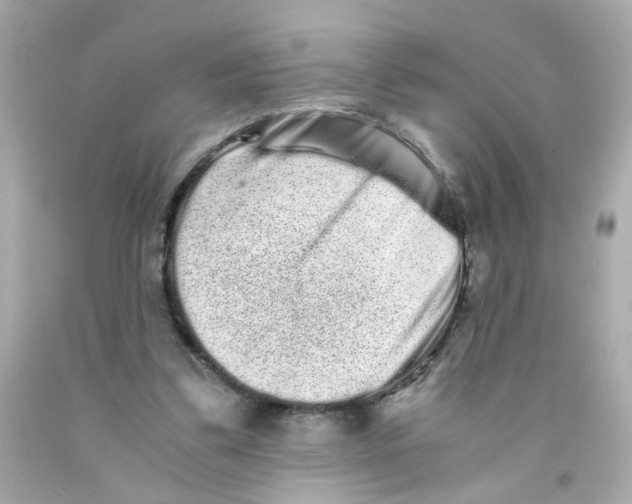 X0000093120299200710241308