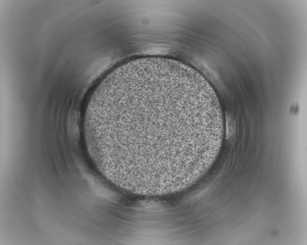 X0000093120300200710241308