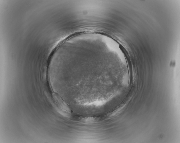 X0000093120301200710241308
