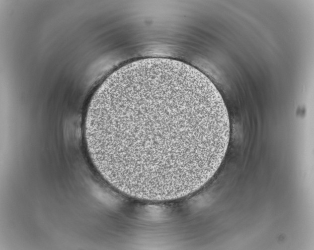 X0000093120302200710241308