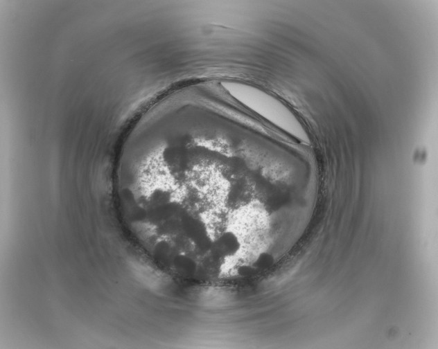 X0000093120303200710241308