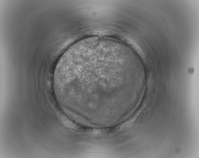 X0000093120305200710241308