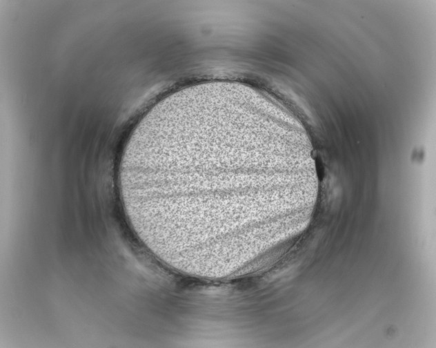 X0000093120306200710241308